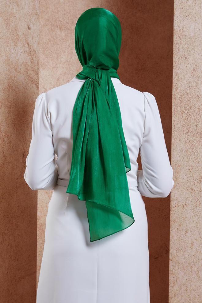 Vêtements hijab VERT CHÂLE DE SOIRÉE ALVINA 8444 - ALVİNA